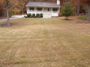 Fall leaf clean up - AFTER